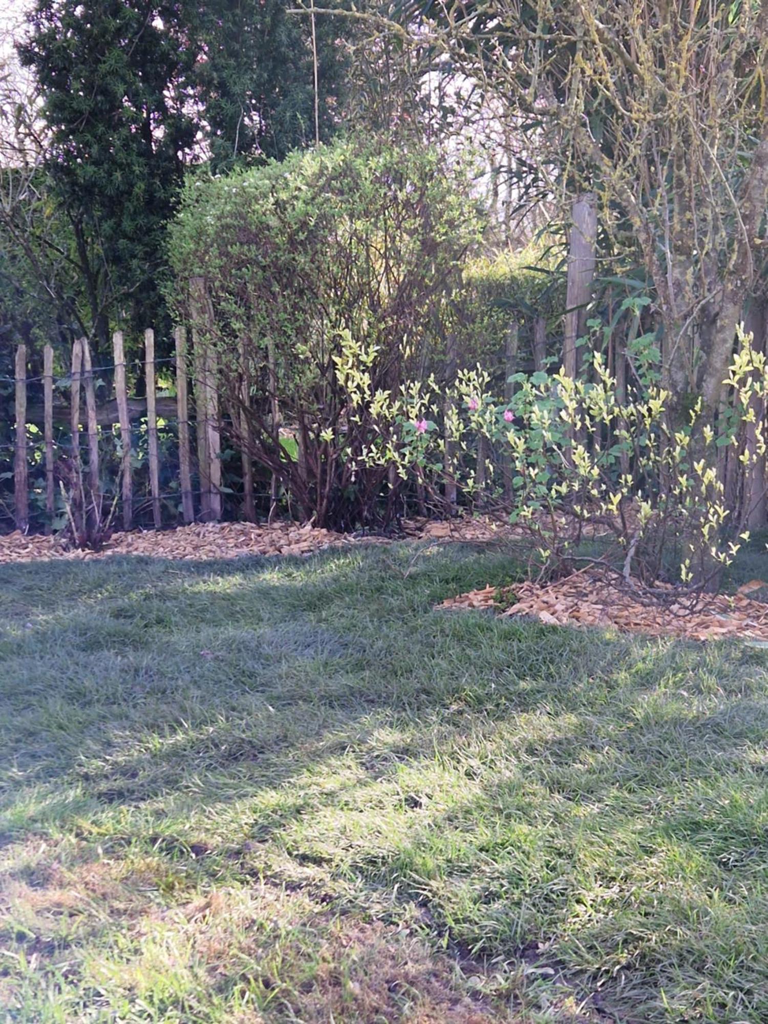 Kustverhuur, Groede, Paarlhof 17 エクステリア 写真